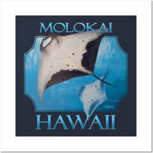 Molokai Hawaii Manta Rays Sea Rays Ocean Posters and Art